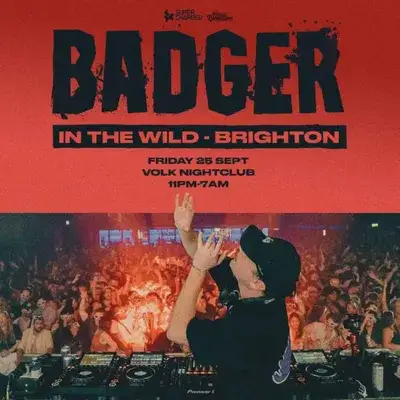 Badger In the Wild