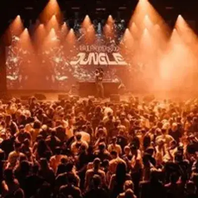 The History of Jungle