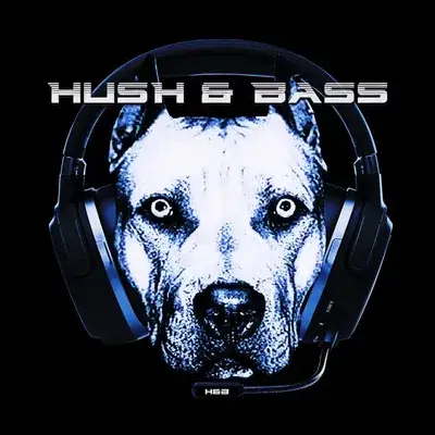 Hush & Bass - Jungle/Dub/DnB/Reggae/Techno/Trance