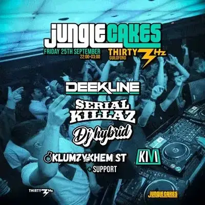 Jungle Cakes Guildford - Thirty3Hz