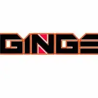 djginge