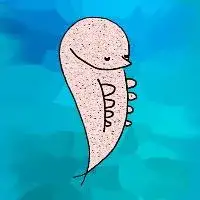 Prawn DJ