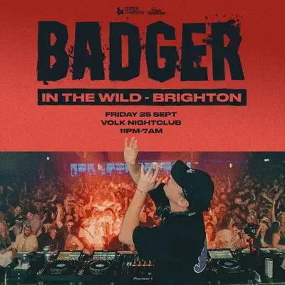 Badger - In the Wild - Brighton